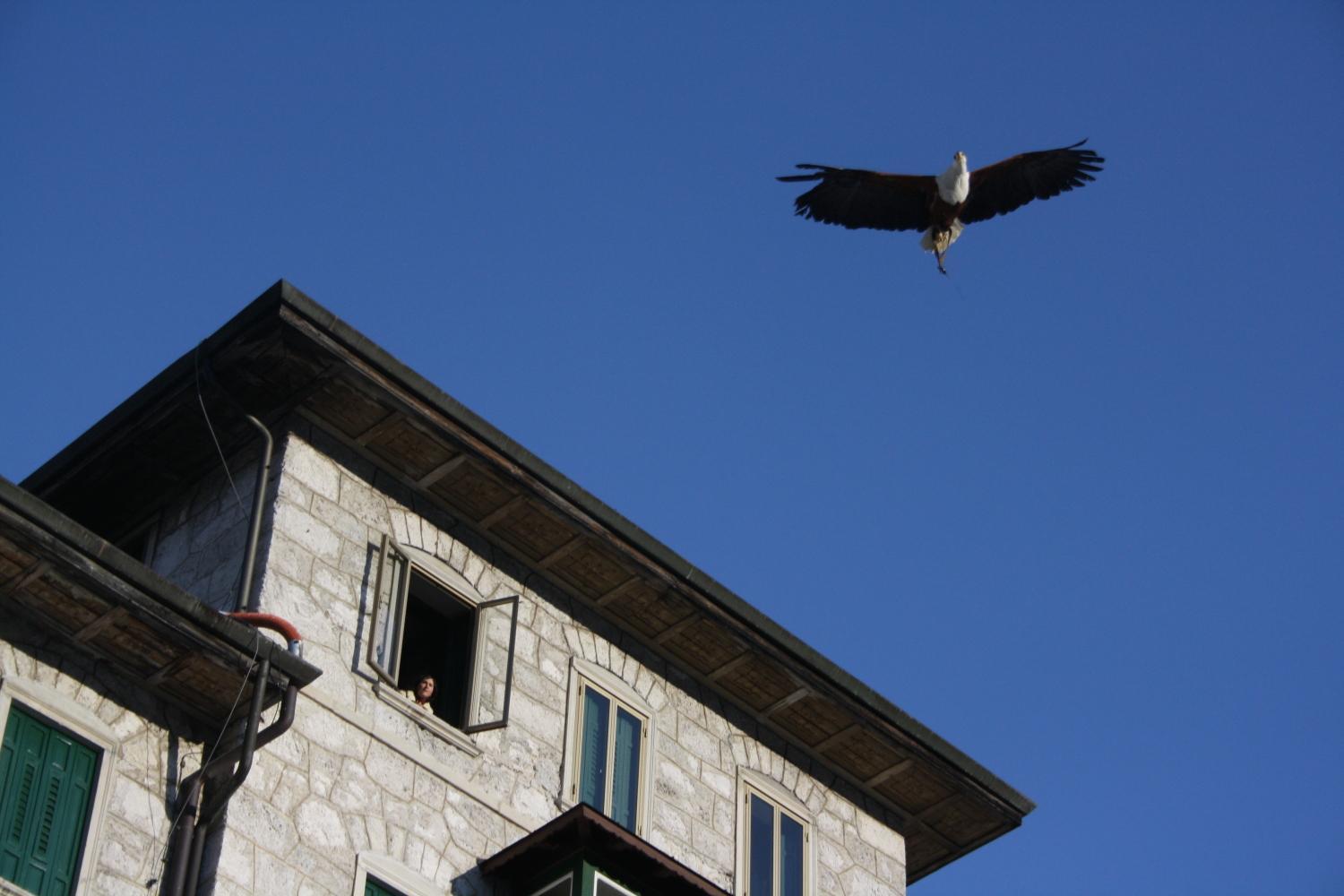 Park Hotel Des Dolomites Borca di Cadore Exterior foto
